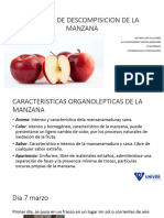 Bitacora de Descompisicion de La Manzana