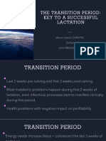 The Transition Period Modified