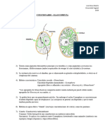 Glaucophyta Cuestionario PerezMartin