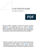 Retikulum Endoplasma