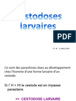 15) cestodoses larvaires