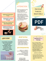 Protesis Removible