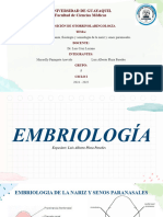 Subgrupo 1 - Exposición de Otorrinolaringologia