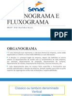 Organograma e Fluxograma