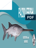 Paddlefish Brochure 2019