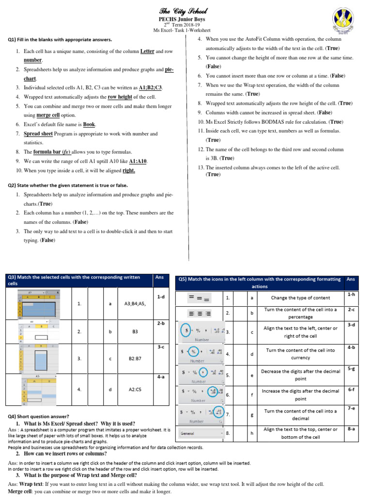 Excel Basics: Fill-in-the-Blanks & True/False | PDF | Spreadsheet ...