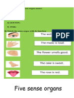 Five Sense Organs