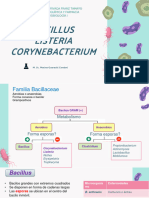 Bacillus, Listeria, COrinebacterium