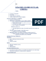 4. PATOLOGÍAS DEL GLOBO OCULAR