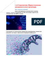 Генотерапія та її перспективи .Медико-генетичне консультування та його організація