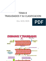 Tema 8 Trasudados