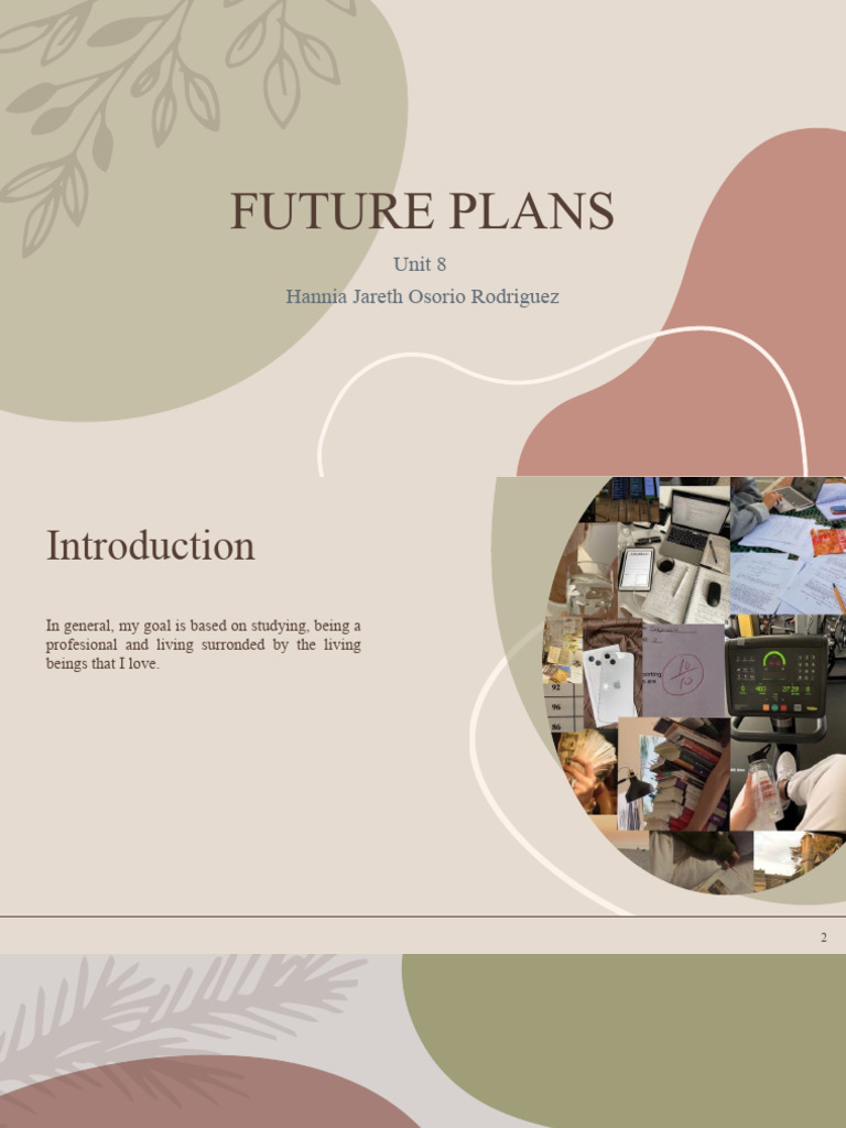 Future Plans: Career and Personal Goals | PDF
