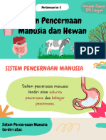 Pencernaan Manusia Dan Hewan