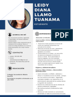 Curriculum Profesional Diana Llamo Tuanama