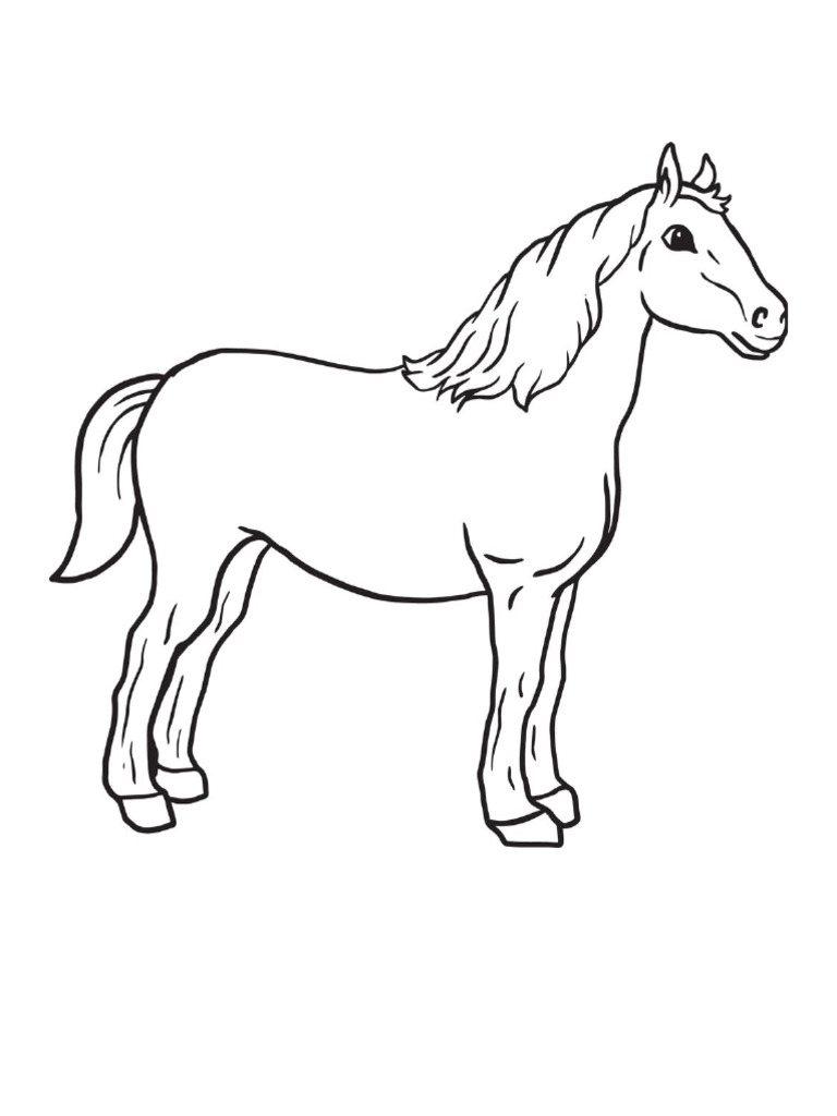 Horse Only | PDF