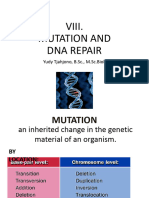 Mutation and Repair