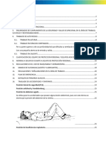 Plan de Seguridad y Salud Ocupacional Aisa