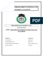 Disaster Management Law - Seminar Paper