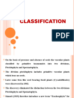 Pteridophytes - Classification Notes