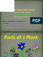 Prof. Dr. Hani Saber Saudy: Agronomy Department