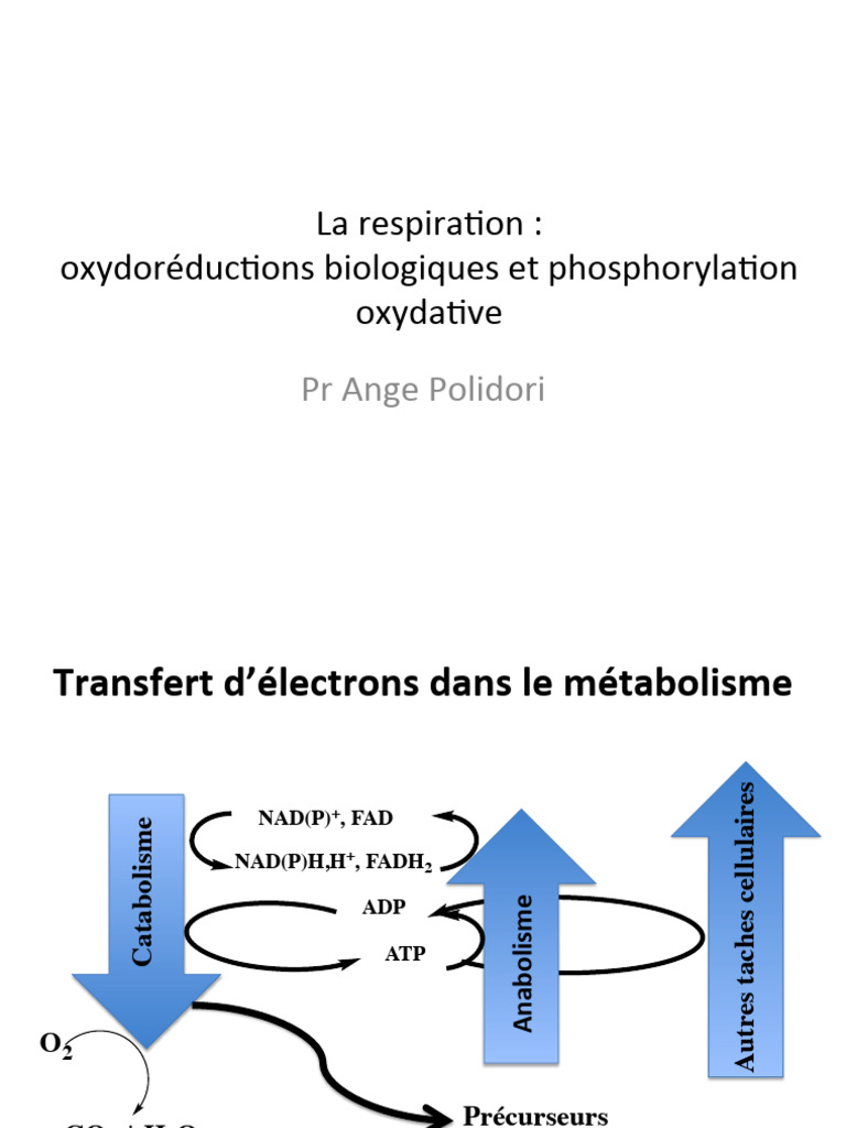 Oxydation et potentiel redox cellulaire PDF Réaction d — free download