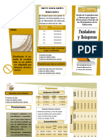 Triptico Fundadores y Reingresos FOCAPS