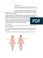 Anatomia Topográfica