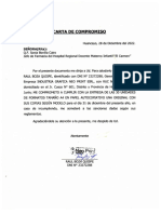 Carta de Compromiso