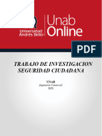 ICAD102 - Avance 1 Editable Noviembre2022 Seguridad Ciudadana