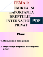 TEMA I... Denumirea Si Importanta DIPrivat