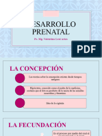 5. Desarrollo Prenatal