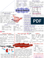 Biofisica Da Respiração e Sistema Cardiovascular