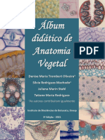 Album Didatico Anatomia Vegetal 2021