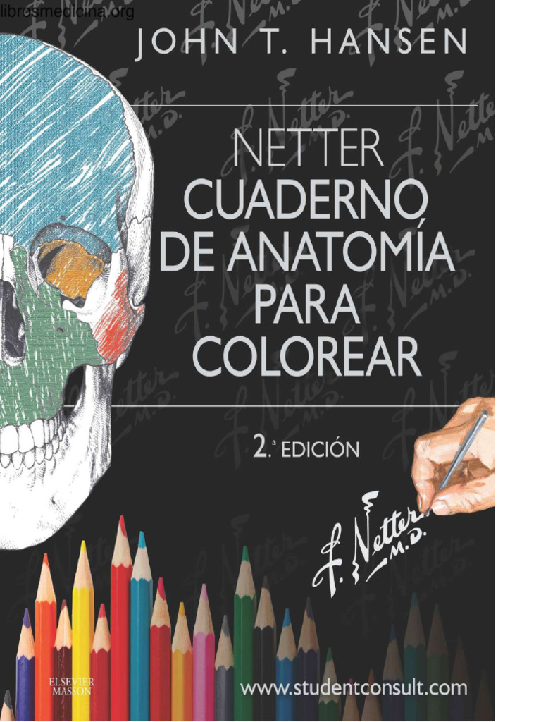 Netter para Colorear 230926 164418 | PDF | La columna vertebral ...