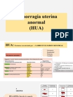 Hemorragia Uterina Anormal (HUA)