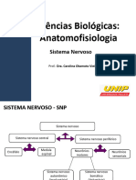 Sistema Nervoso - Continuação