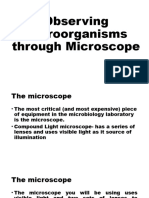 Observing Microorganisms Through Microscope