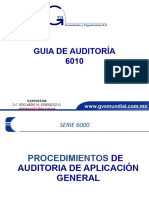 Guia de Auditoría 6010: Expositor