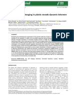 Dreissig-Live-cell CRISPR Imaging in Plants Reveals Dynamic Telomere Movements