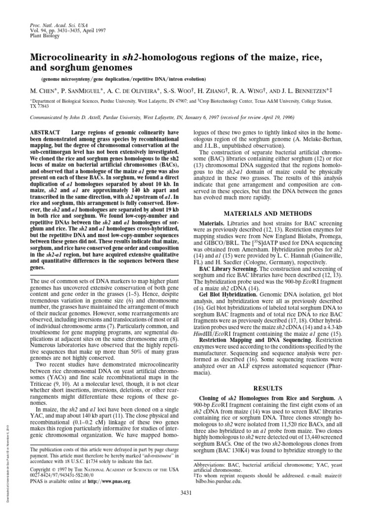 ChenMicrocolinearity in Sh2Homologous Regions of The Maize Rice and
