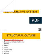 Reproductive System I