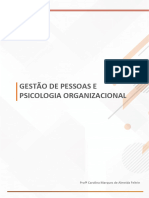 Aula 1 GESTÃO DE PESSOAS E PSICOLOGIA ORGANIZACIONAL