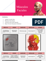 Músculos de La Región Facial-1