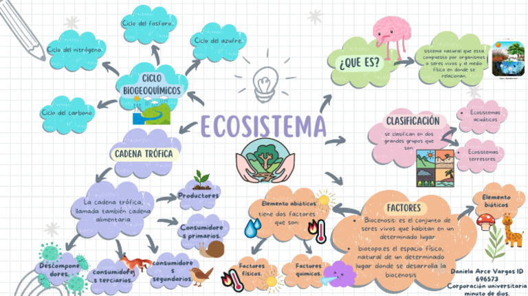 Mapa Mental de Ecosistemas y Cadenas Tróficas | PDF | Ecosistema | Biología