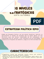 LOS NIVELES ESTRATÉGICOS