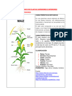 ALBÚM BOTANICO DE PLANTAS SUPERIORES E INFERIORES