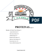 PROTEINAS12