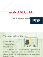 11 Reino Vegetal