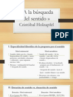 Cristóbal Holzapfel - A La Búsqueda Del Sentido