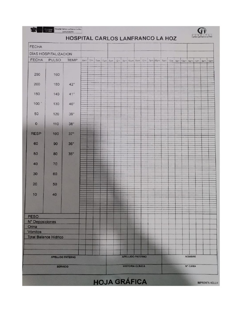 Formato Gráfica Signos Vitales | PDF